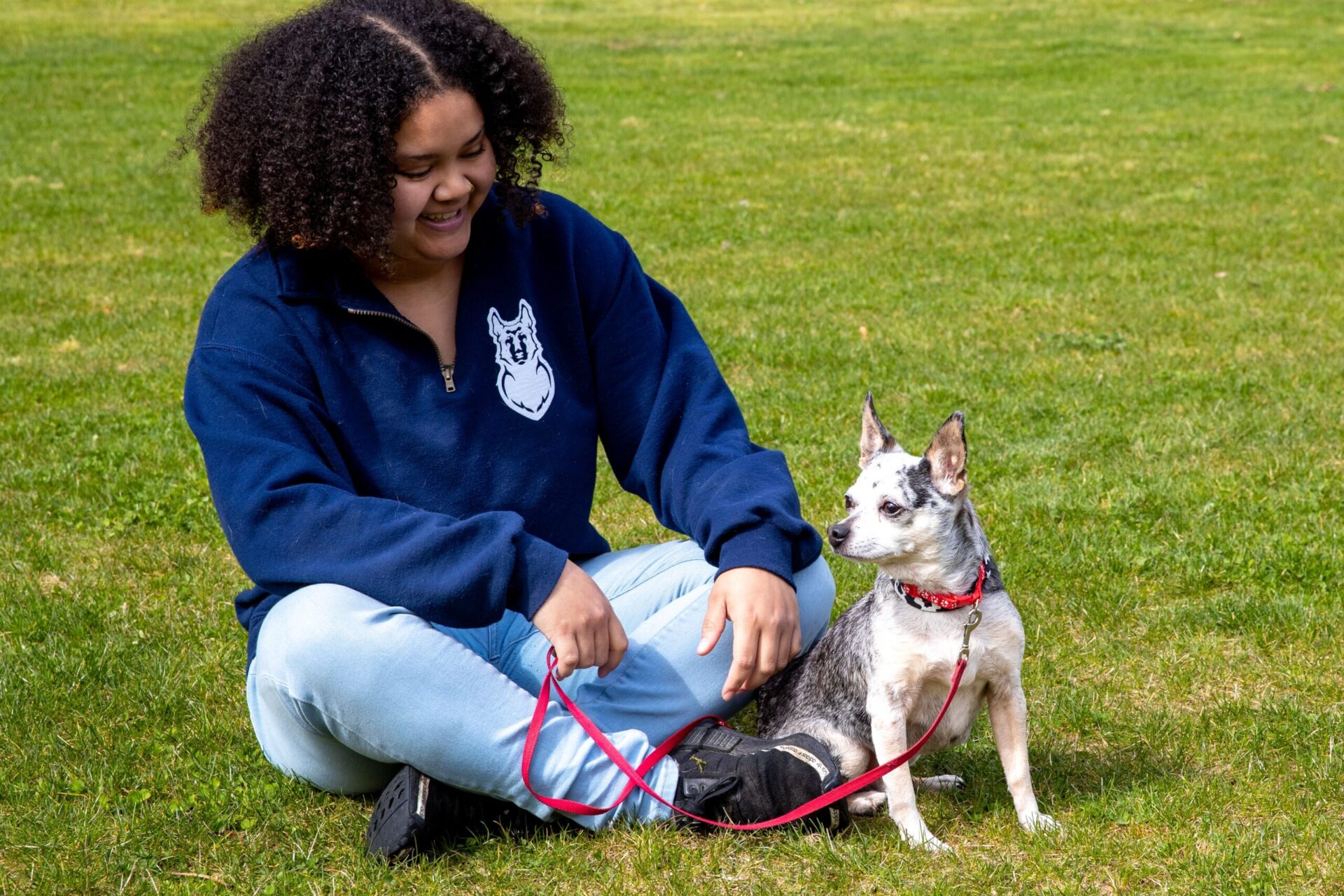 Dog Boarding, Training and German Shepherd Sales in Monroe